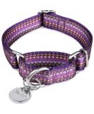 Premium Adjustable Martingale Dog Collar - Heavy Duty Soft & Glatted - Dark Violet for Large/Small Dogs | International Shipping - Buy Online on GoSupps.com