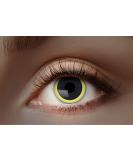 Buy Eyecatcher 84027541-455 Colored UV Contact Lenses - Yellow & Black 12-Month Wear for Carnival Mardi Gras & Halloween - International Shipping Available - Buy Online on GoSupps.com