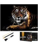 Scratch Art Animal Rainbow Painting Paper Kit - Engraving Art & Craft Set for Kids & Adults - Tiger Design - Includes 3 Tools - 16'' x 11.2 - Buy Online on GoSupps.com