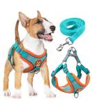 Rennaio No Pull Dog Harness & Leash Set | Adjustable Puppy Harness for Small & Medium Dogs - Ultra Comfortable with 2 Linen Clips (Seeblau XL) - Buy Online on GoSupps.com