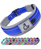 Joytale Reflective Dog Collar for Small Dogs - Softly Padded Neoprene Royal Blue Size S (1 Pack) - International Shipping Available - Buy Online on GoSupps.com