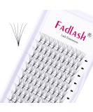 Shop 5D Volume Eyelash Extensions 0.07mm C Curl | 10mm Artificial Eyelashes for Lush Long-Lasting Volume - Buy Online on GoSupps.com