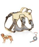 Multi-Purpose Dog Harness & Leash Set | Outbreak-Proof Anti-Train Harness for Small & Medium Dogs - Beige - Buy Online on GoSupps.com