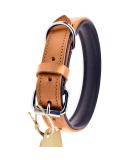 Luxury Leather Sniffing Fans Dog Collar - Padded & Robust for All Sizes (L: 36-45cm Beige) | International Shipping - Buy Online on GoSupps.com