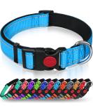 Taglory dog collar soft padded neoprene nylon dogs collar for medium dogs adjustable and reflective for training sky blue M (1 -pack) sky blue - Buy Online on GoSupps.com