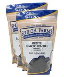 Shiloh Farms Organic Petite Black Lentils 16 oz - 2 Pack | 32 oz Total - Buy Online on GoSupps.com