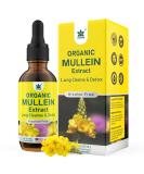 Mullein Drops 800 mg | Natural Lung Detox & Cleanse Tincture for Respiratory Health | Alcohol-Free No Sugar | 2 fl oz - Buy Online on GoSupps.com
