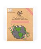 Small Planet AMZ Floral Scent Detergent Leaves - 40 Eco-Friendly Strips for Whites & Colors - Biodegradable Vegan Plastic-Free Energy-Saving Wash - Buy Online on GoSupps.com