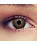 Design lenses naturally acting contact lenses "Dimension hazel" hazelnut brown colored contact lenses brown 1 pair (2nd) wearing time 3 months + free container without strength 0.0 diopters 8.7 millimeters 14.20 millimeters 2.0 - Buy Online on GoSupps.com