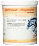 Equipower Magnesium 0.75 kg - Premium Quality for Optimal Performance | Fast International Shipping - Buy Online on GoSupps.com