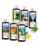 Spitzner sauna infusion set adventure trip (6 x 190 ml)-wellness sauna infusions alpine herbs anis-orange citrus mint citrus pineapple coconut cyprats-rosmarin - Buy Online on GoSupps.com