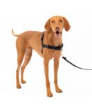 PetSafe Easy Walk Harness | No-Pull Adjustable Fit for Dogs | Includes 1.8m Lead | Black/Beige | Large/Medium - Buy Online on GoSupps.com