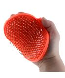 Raw Paws Pet Hand-Held Rubber Tipped Pin Brush for Dogs & Cats - Grooming Brush for Dogs Shedding - Dog Brushes for Grooming Large Dogs & Small Dogs - Bath Brush for Dogs with Short Hair & Long Hair - Buy Online on GoSupps.com