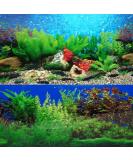 ELEBOX 20x48 Fish Tank Background - 2 Sided River Bed & Lake Aquarium Decor - H 19.5 x L 48 - Premium Quality - Buy Online on GoSupps.com