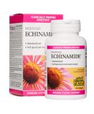 Natural Factors Echinamide 60 Softgels - Immune Support Supplement - Buy Online on GoSupps.com