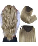 FSHINE PERSCHWANT 50cm Human Hair Ponytail Clip - Light Brown to Blonde Remy Hair 100g #19/8/60 - Perfect for Stunning Hairstyles - Buy Online on GoSupps.com