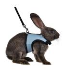 Niteangel Adjustable Soft Harness & Elastic Leash for Medium Rabbits - Blue | International Shipping Available - Buy Online on GoSupps.com