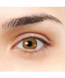 Shop Seville VIP Honey Contact Lenses - Super Natural Design Annual Colored Includes Container & Tweezers - International Shipping - Buy Online on GoSupps.com