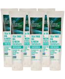 Buy Desert Essence Natural Tea Tree Oil & Neem Toothpaste - Wintergreen 6.25 Oz | International Shipping Available - Buy Online on GoSupps.com