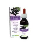 Black Elder Flowers and Fruits Alcohol-Free Mother Tincture 120ml | Naturalma Liquid Extract Drops | Vegan Food Supplement - Buy Online on GoSupps.com