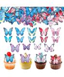 Buy Alegre Butterflies Tortendeco Edible Decorations | 40 Colorful Cake & Cupcake Toppers for Birthdays Weddings & Baptisms - International Shipping Available - Buy Online on GoSupps.com