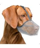 Breathable Dog Muzzle for Small Medium & Large Breeds - Prevents Biting & Chewing - Rounded Mesh Design (S Gray) - Buy Online on GoSupps.com