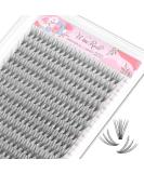 WineRozi 240 pcs 10D/20D Mixed Lash Clusters Extensions Handmade Lightweight False Eyelashes (20D 12-16mm) | DIY Home Eyelash Extensions - Buy Online on GoSupps.com