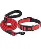 Haapaw Reflecting dog collar padded with soft neoprene breathable nylon dog collar for small medium -sized dogs M (1 -pack) red - Buy Online on GoSupps.com
