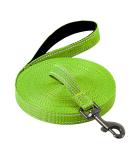 Demigreat Reflective Dog Leash - 3m/5m/10m/15m/20m Training Line with Padded Handle & Hand Loop for Small to Large Dogs - Durable & Versatile - Buy Online on GoSupps.com