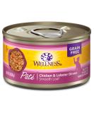 Wellness Complete Health Grain-Free Wet Cat Food - Chicken & Lobster, Natural Ingredients, Made in USA, Adult Cat Pate (3oz, 5oz, 12.5oz) - Buy Online on GoSupps.com