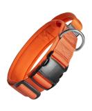 OneTigris Dog Collar with Metal Buckle for Dogs (Orange M) M Orange - Buy Online on GoSupps.com