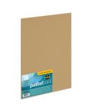 Ampersand Art Supply Pastel Painting Panel: Museum Series Pastelbord  Sand-1/8 Inch Depth  11x14 11 x 14 Sand - 1/8 Inch Depth - Buy Online on GoSupps.com