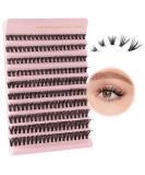 Poiuyoiu 40D False Eyelash Extensions | Reusable Cluster Lashes 8-16mm | Wispy Individual Eyelashes DIY - Buy Online on GoSupps.com