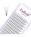 Premium 6D 0.07mm D Curl 10mm Premade Russian Volume Eyelash Extensions - Shop Now! - Buy Online on GoSupps.com