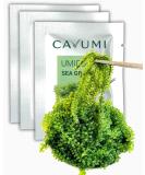 Buy CAVUMI Sea Grapes 3x20g - Crunchy Seaweed Snack | Umibudo Green Caviar Delight - International Shipping Available - Buy Online on GoSupps.com