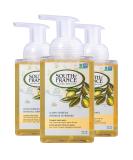 South of France Lemon Verbena Foaming Hand Soap 8oz - Pack of 3 Bottles - Natural Body Care - Buy Online on GoSupps.com