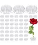 4 Pieces Plastic Flower Holder Pin Holder Clear Flower Arranger Japanese Decorations Flower Fixed Tools Floral Arrangement for Flower Arrangement  Plant Fixation  Plant Decoration(4 Pieces) - Buy Online on GoSupps.com