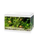 Ciano Aqua 20 Aquarium with LED Lights & Filter WHITE - Buy Online on GoSupps.com