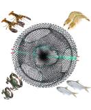 Anglerbasics Portable Crab Trap | Fish Trap for Minnow, Crawfish, Shrimp, Lobster | Bait Snare Trap (17.72x7.87) - Buy Online on GoSupps.com