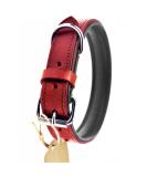 Premium XXL Leather Dog Collar - Padded & Robust Ideal for Large Medium & Small Dogs - Sniffing Fans Design in Red - Buy Online on GoSupps.com