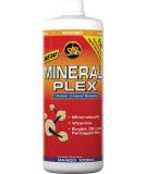 Buy All Stars Minvit Mango Beverage Concentrate 1L - Vitamin & Mineral Infused Sports Drink Syrup (Makes 40L) with L-Carnitine | Sugar-Free Mango Flavor - Buy Online on GoSupps.com