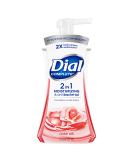 Dial Complete 2 in 1 Moisturizing & Antibacterial Foaming Hand Wash  Rose Oil  7.5 Ounce - Buy Online on GoSupps.com