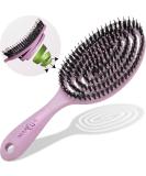 Marqus Wild Boar Bristle Hairbrush - All Hair Types | DESTRIATHER for Effortless Shine & Tangle-Free Styling - Buy Online on GoSupps.com