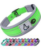 Joytale Extra Large Dog Collar - Softly Padded Neoprene Nylon Reflective Green XL for Large Dogs (1 Pack) - Durable & Comfortable - Buy Online on GoSupps.com