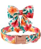 Unique Style Paws Colorful Flower Dog Collar - Adjustable Cotton Bowie Collar for Young Girls' Dogs - XS to XL (16-26in) - Perfect for Orange & Pink Flowers - Buy Online on GoSupps.com