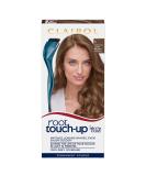 Clairol Root Touch-Up Permanent Hair Dye 6 Light Brown 6 Light Brown 1 count (Pack of 1) Single - Buy Online on GoSupps.com