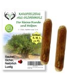 Buy ARTISAN GIFT CO Olive Wood Chew Toy for Dogs - 100% Natural Value Pack of 2 Ideal for Dogs Up to 10 kg (S-12 cm) - Buy Online on GoSupps.com