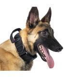 OneTigris Dog Collar with Metal Buckle for Dogs (Black XL) XL Black - Buy Online on GoSupps.com
