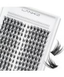 LANKIZ Manga Lashes | Natural Look Lash Clusters & Individual Extensions | D Curl 8-16mm | Korean & Asian Makeup | Fluffy Mink Wispy False Eyelashes - Buy Online on GoSupps.com