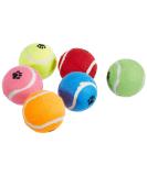 Sharples N Grant Fetch Tennis Balls Pack of 6 - Buy Online on GoSupps.com